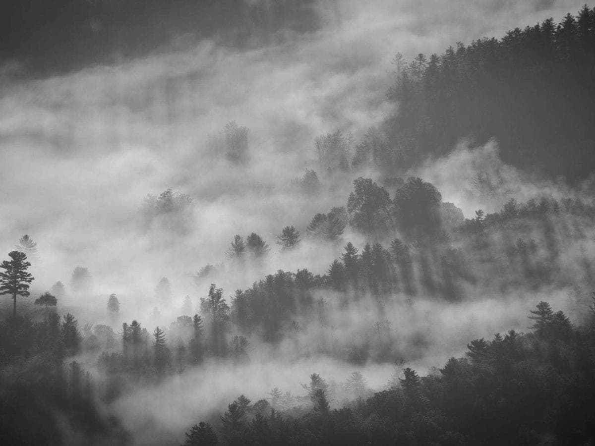 The Hub, Center for Health and Beauty