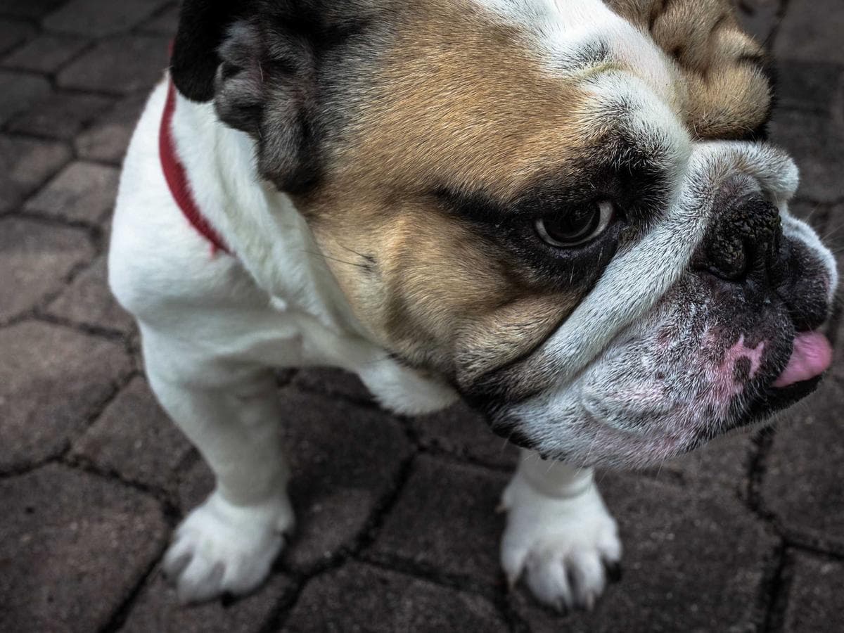 TrueSip (Top Bliss Brands)