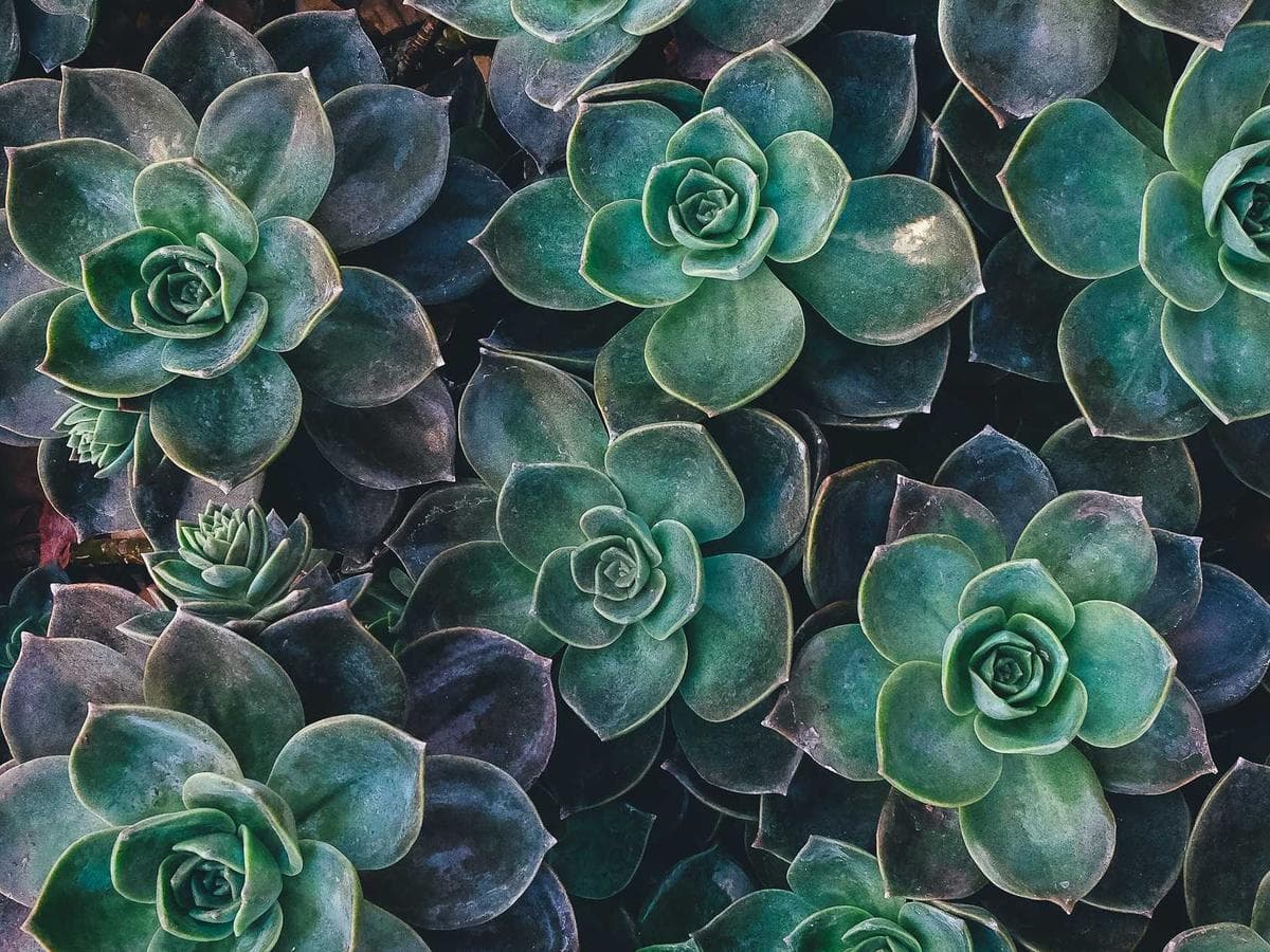 Palmer's Financial Advice